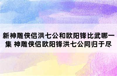 新神雕侠侣洪七公和欧阳锋比武哪一集 神雕侠侣欧阳锋洪七公同归于尽